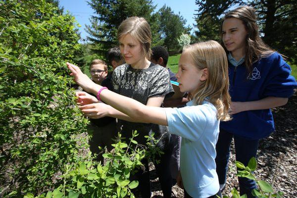 Outdoor science class