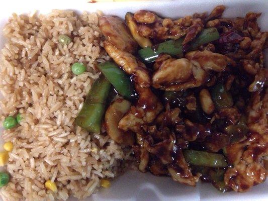 Kung pao lunch special. Sauce tasted like garlic for some reason. Rice tasted microwaved :(