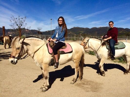 Horses Fiona and Lauren