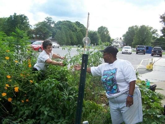 Growing together in our community vegetable and flower garden.