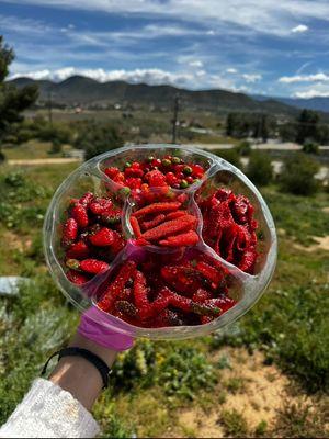 Chili Gummy Charolas- Made to serve 10-15 people. Choose up to 5 Different Flavors.