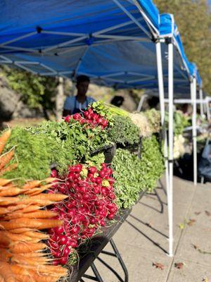 farm stall