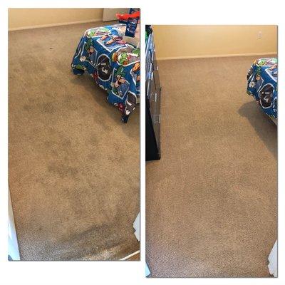 Restorative carpet cleaning. Pet urine stains removal