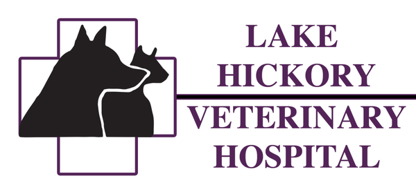 Lake Hickory Veterinary Hospital.