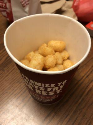 This is a bucket of tots. Looks more like half a bucket. Ridiculous.