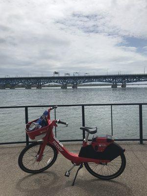 Scenic view of the North Grand Island Bridge from La Salle Waterfront Park