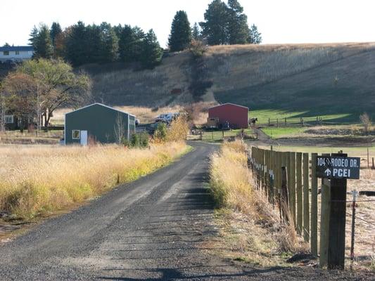 Driveway heading up to PCEI!