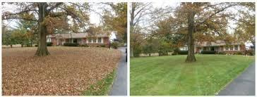 Leaf removal services available with all 1 year maintenance contracts with Jacobs Landscape.