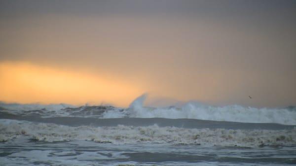 Storm Waves