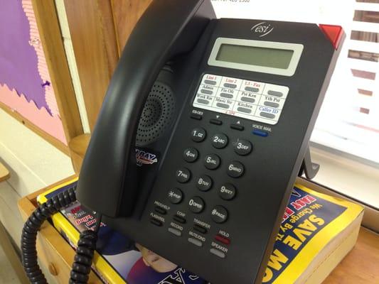 ESI business telephone