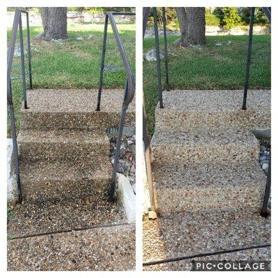 Mold, mildew and algae removal