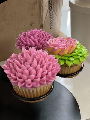 The professional cupcakes