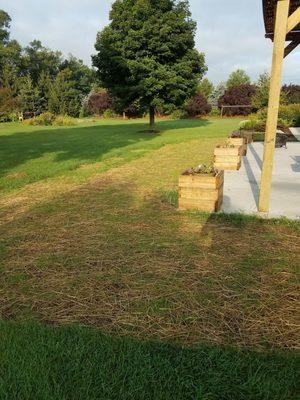 Lawn restoration after concrete patio and pergola install.