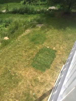 Grass cover by child's toys were left unharmed