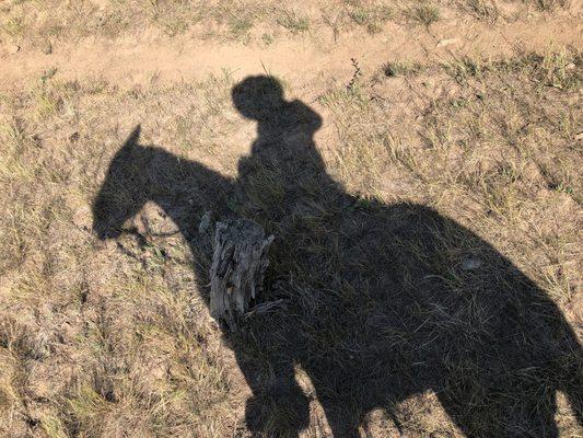 Tour guide shadow!