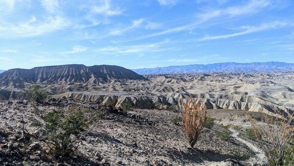 Anza-Borrego Desert State Park