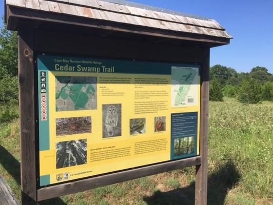 Cedar Swamp Trail