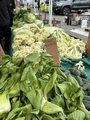 Nice mix of Vegetables at the Stonestown Farmers Market San Francisco