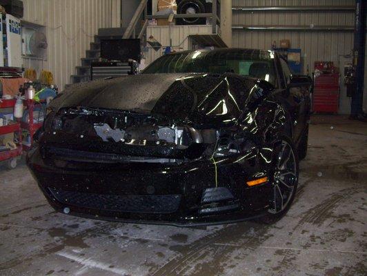 2013 Mustang GT with Factory Stripes, Hit Deer