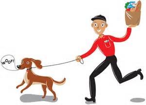 Dog Walking Services