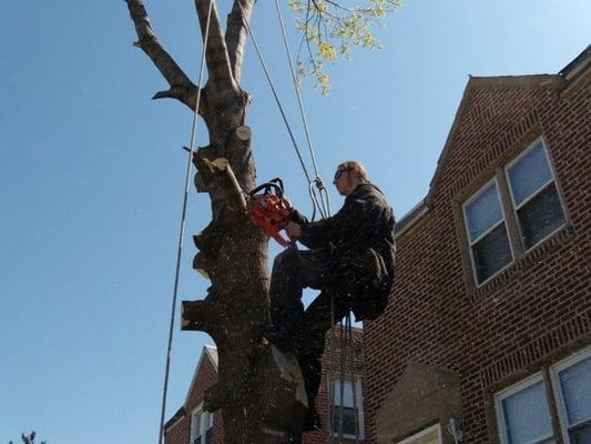 TJ Mechanical  can remove dangerous tree limbs before they do the damage.