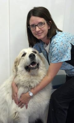 Our Registered Veterinary Technician, Leanne, with a cute dog patient.