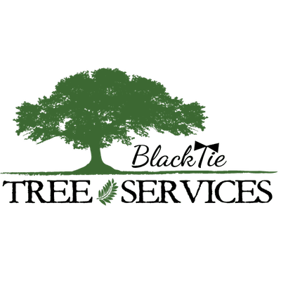 Black Tie Tree Services