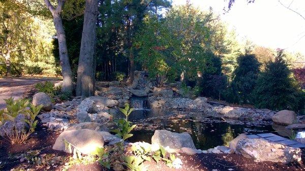 A pond and waterfall created by us in Westport, CT