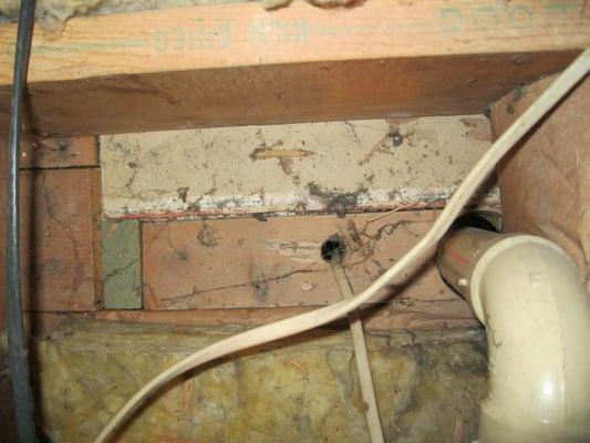 shows the foam sealing the gaps commonly found in the attic floor