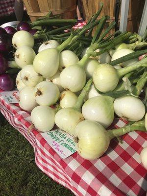 Waitsfield Farmer's Market 8/21/21