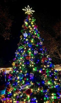 Holiday tree lighting