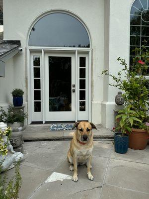 Majestic Doors & Windows