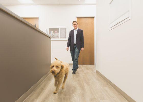 "Doc," our office dog who greets our patients with lots of excitement.