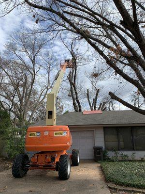 Ballard Tree Service