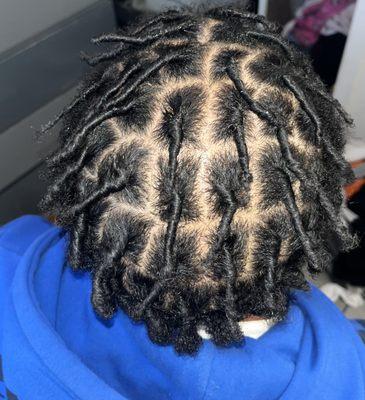 Starter Locs