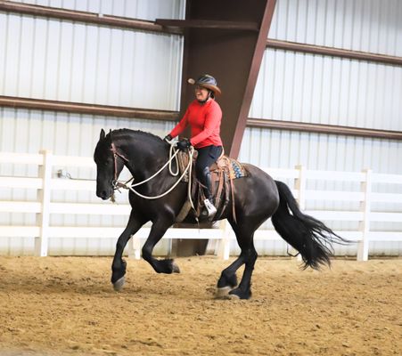 Customer enjoying her new horse.