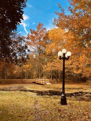 The grounds of Cy-Hope Counseling in the fall.