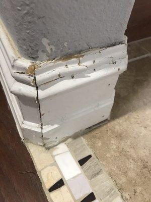 Trim condition left behind after workers installed threshold