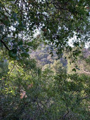 Dixie canyon trail view