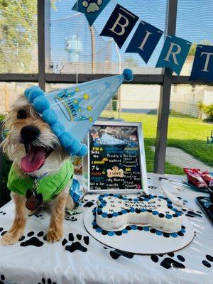 My dog and his friends loved everything about this cake! We shared it with 7 small dogs. Everyone loved it!