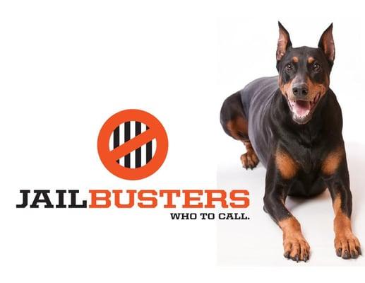 Capone is Jailbuster's Official Canine Mascot.