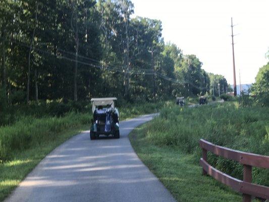 Plenty of carts to even accommodate a company outing