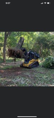 Skid steer uprooting stump