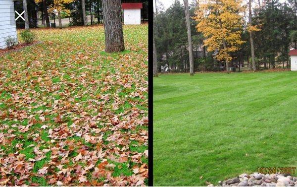 Rays Lawn Mowing