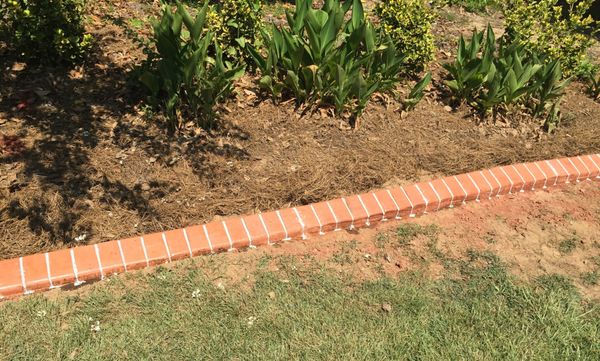 Brick red soldier course with stained grout line.