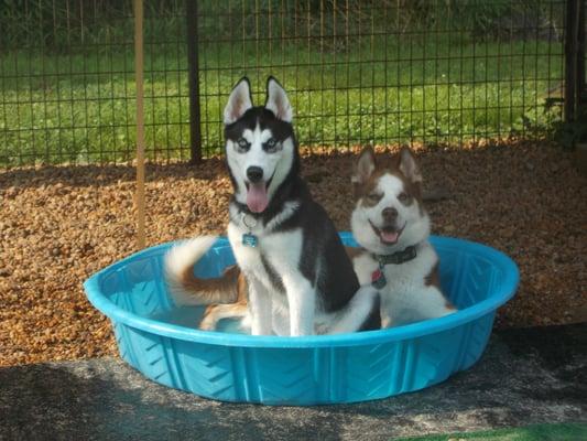 Keepin cool on a hot day!