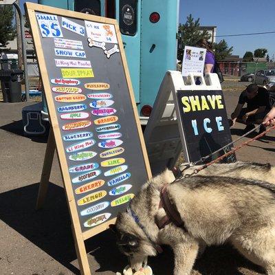 Dogs love our SHAVE ICE too!