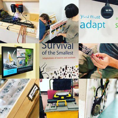 We installed a monitor, looping video and audio kiosk for the Burpee Museum Survival of the Smallest exhibit.