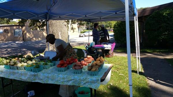 September 12, 2015 Greens, eggplant, peppers, cabbage, onions, beans, potatoes, tomatoes....