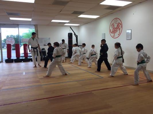 Sensei Cameron overlooking and drilling his students on proper technique and form. This was a great session!